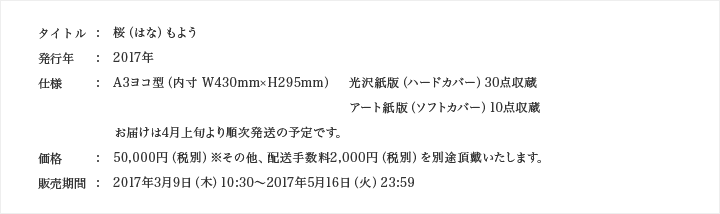 米美知子 桜もよう 仕様